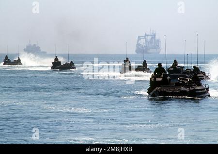 Amphibien-Angriffsfahrzeuge (AAV), die von Marines der 3. USMC Division, Okinawa, angetrieben werden, machen sich langsam auf den Weg zu einem abgelegenen Strand in der Nähe von Wladiwostok, wo sie im Rahmen der kombinierten amerikanisch-russischen Katastrophenhilfemaßnahme Kreuztrainings zwischen US-amerikanischen und russischen AAV-Bataillonen durchführen. Das Panzerlandeschiff BDK-007 der Ropucha II-Klasse ist im Hintergrund. Betrifft Operation/Serie: ZUSAMMENARBEIT AUS DEM MEERESSTÜTZPUNKT: Wladiwostok Staat: Sibirien Land: Russland (RUS) Stockfoto