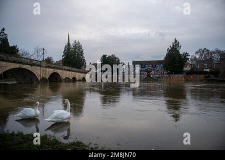 Wallingford, Oxfordshire, Vereinigtes Königreich, 14. Januar 2023, Wetter: Überschwemmung der Themse an der Wallingford Bridge nach starkem Regen. Das Boat House Public House hat den unteren Sitzbereich unter Wasser. Kredit: Lu Parrott / Alamy Live News Stockfoto