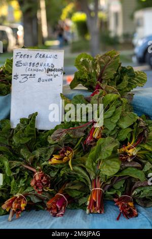 Frischer Bio-Mangold aus der Schweiz (Regenbogen) auf einem Bauernmarkt mit einem Schild, drei Dollar pro Stapel, auf einem Tisch, aus der Perspektive des Abendessens - reale Produkte weit entfernt Stockfoto