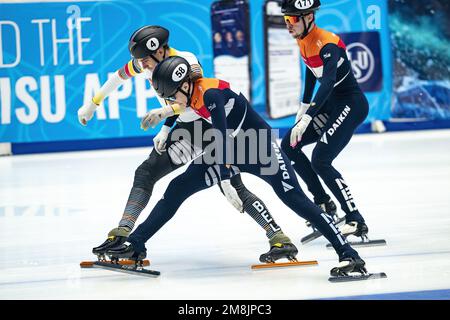 DANZIG - Jens van 't Wout schlägt den belgischen Stijn Desmet auf der 1500 Meter langen Ziellinie am 2. Tag der europäischen Schnellskating-Meisterschaft. Friso Emons ist Dritter. ANP RONALD HOOGENDOORN niederlande Out - belgien Out Credit: ANP/Alamy Live News Stockfoto