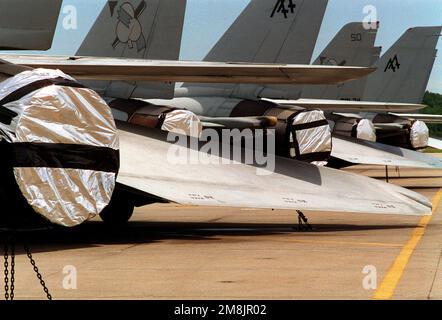 Rückansicht mehrerer F-14A Tomcat-Flugzeuge der Fighter Squadron 103 (VF-103), die die Düsenabluftöffnungen versiegelt haben, um Fremdkörper fernzuhalten, während das Flugzeug aufgrund fehlender Betriebsmittel kurzfristig 30 Tage lang konserviert wird. Basis: Marineflugstation, Oceana Bundesstaat: Virginia (VA) Land: Vereinigte Staaten von Amerika (USA) Stockfoto