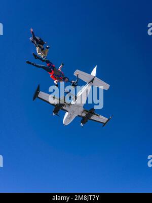 Fallschirmspringer, die aus Flugzeugen springen Stockfoto