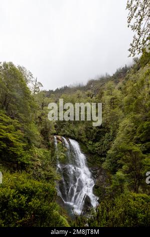 Blick auf den Wasserfall bei einer Wanderung auf den Sendero Cascadas Escondidas im Parque Nacional Pumalín Douglas Tompkins in Patagonien, Chile Stockfoto