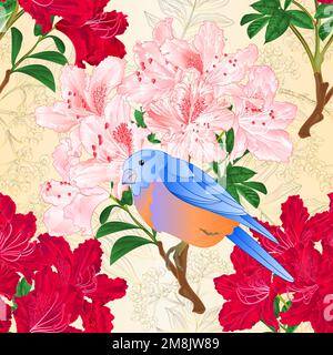 Nahtloses Texturieren kleiner Vogel Bluebird Soor und hellrosa und rote Rhododendrons Frühlingshintergrund Vintage Illustration editierbar Handzeichnen Stock Vektor