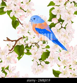 Nahtlose Textur kleiner Vogel dröhnt Bluebird auf einen Apfelbaum mit Blumen Vintage-Vektor Illustration editierbar Handzeichnen Stock Vektor