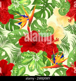 Nahtloses Bouquet mit tropischen Blumen Blumenarrangements mit Strelitzia und rot-gelber Hibiskuspalme, Philodendron und Schefflera und Stock Vektor