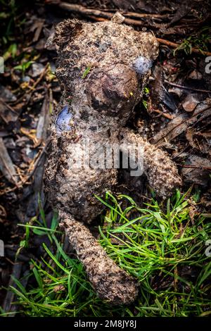 Der Kinderbär wurde nach einer Flutwelle angespült. Er lag am Flussufer. Konzepte - einsam, weggeworfen, ungeliebt, vermisst, schmutzig, Abgespült. Stockfoto