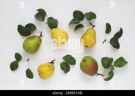 Set aus frischen gelben roten grünen Birnen mit Blättern auf weißem Hintergrund, Studiotischansicht. Flache Verlegung. Stockfoto