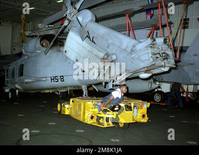 Der Traktorfahrer (AN) Donald Walker schleppt einen SH-60 Sea Hawk Hubschrauber der Helicopter Squadron 8 (HS-8) mit einem SD-1D-Spürhund über die Hangarbucht des nuklearbetriebenen Flugzeugträgers USS CARL VINSON (CVN-70). Land: Indischer Ozean (IOC) Stockfoto