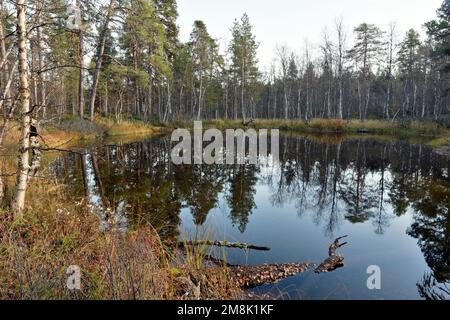 See im Lemmenjoki-Nationalpark, in der Nähe von Inari, Finnland Stockfoto