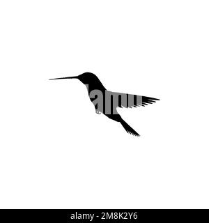 Ein Summvogel-Symbol. Einfaches Safari-Reisebüro großes Sale-Poster Hintergrundsymbol. Logo der Marke „Humming Bird“. Kolibri-T-Shirt Stock Vektor