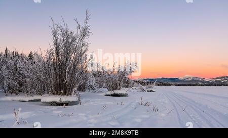 Unglaubliche arktische Sonnenuntergänge im Norden Kanadas im Winter entlang des Yukon River. Stockfoto