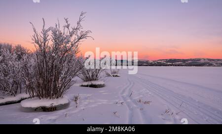 Unglaubliche arktische Sonnenuntergänge im Norden Kanadas im Winter entlang des Yukon River. Stockfoto