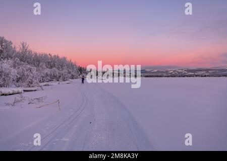 Unglaubliche arktische Sonnenuntergänge im Norden Kanadas im Winter entlang des Yukon River. Stockfoto