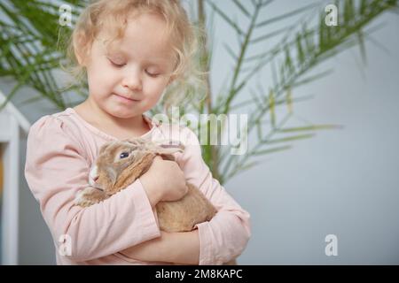 Ein Mädchen, das ein beigefarbenes Hauskaninchen der zwergrex-Rasse hält. Speicherplatz kopieren. Stockfoto