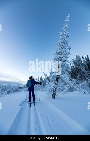 Unglaubliche arktische Sonnenuntergänge im Norden Kanadas im Winter entlang des Yukon River. Stockfoto