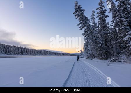 Unglaubliche arktische Sonnenuntergänge im Norden Kanadas im Winter entlang des Yukon River. Stockfoto