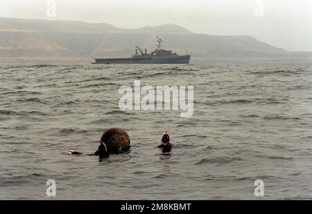 USA Navy PETTY Officers 2. Class Kai Fornes und Douglas Kearns von Explosive Ordnance Disposal Group 1, Mobile Unit 6, bereiten Sie eine Mine vor, um sie von der USS CLEVELAND (LPH 7) abzuschleppen. Die Übung ist eine multinationale Übung zur Beseitigung von Sprengkörpern. Betreff Betrieb/Serie: BELL THUNDER '95 Basis: San Clemente Island Bundesstaat: Kalifornien (CA) Land: Vereinigte Staaten von Amerika (USA) Stockfoto