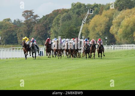 Windsor, Berkshire, Großbritannien. 3. Oktober 2022. Downland The At the Races App Handicap setzt auf Windsor Racecourse. Kredit: Maureen McLean/Alamy Stockfoto