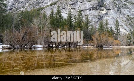 Eine Reihe blattloser Bäume im Spiegelsee mit den Reflexionen. Hinter diesen Bäumen befinden sich Alpen mit Granitbergen im Hintergrund. Stockfoto