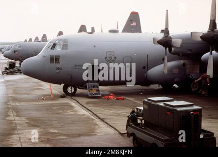 Der Marinestützpunkt Roosevelt Roads ist zum wichtigsten Drehkreuz für alle Frachtflugzeuge geworden, die auf die Jungferninseln ein- und ausfliegen und Hilfsgüter für Hurrikan Marilyn bereitstellen. Acht C-130 Hercules aus Little Rock, Arkansas, warten Sie auf der Rampe, bis die Fracht nach St. Thomas. Betreff Betrieb/Serie: HURRIKAN MARILYN Basis: NAS, Roosevelt Roads Bundesstaat: Puerto Rico (PR) Land: Vereinigte Staaten von Amerika (USA) Stockfoto