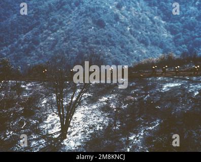 Militärfotograf des Jahres Gewinner 1996 Titel: Ausgebrannte Kategorie: Bildplatz: Erster Platz kurze Beschreibung: Ein einsamer, karrener Baum in einem offenen Bereich steht im Vordergrund, während müde Soldaten im Hintergrund auf den Rand marschieren. Exaktes Datum Aufnahme Unbekannt. Land: Unbekannt Stockfoto