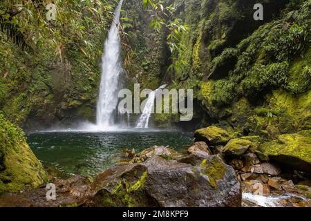 Blick auf den Wasserfall bei einer Wanderung auf den Sendero Cascadas Escondidas im Parque Nacional Pumalín Douglas Tompkins in Patagonien, Chile Stockfoto