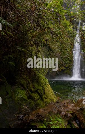 Blick auf den Wasserfall bei einer Wanderung auf den Sendero Cascadas Escondidas im Parque Nacional Pumalín Douglas Tompkins in Patagonien, Chile Stockfoto