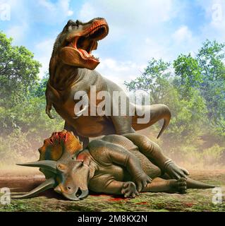 Tyrannosaurus jagte Einen Triceratops Stockfoto