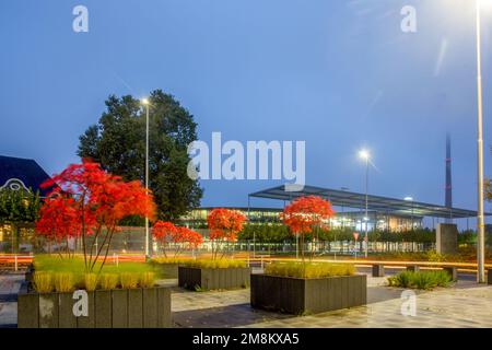Fantastische japanische Herbstapel in Töpfen (nicht scharf vom Wind bei langer Exposition) und Hauptniederlassung des Unternehmens in Leverkusen und Fabrikrohre in Nord R Stockfoto