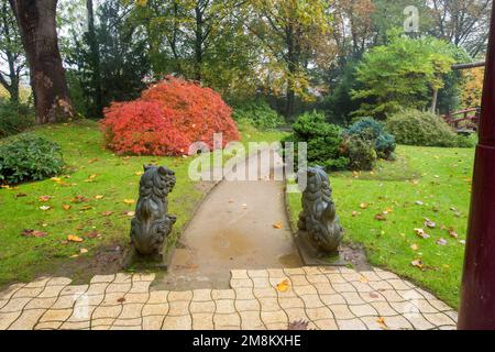 Fantastische nebelige Landschaft in einem japanischen Garten mit kleinen Löwenstatuen neben dem Torii-Tor in Leverkusen und grüner Gras Ende Oktober. Rote Blätter von SM Stockfoto