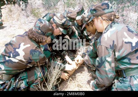 Die Auszubildenden simulieren die Schlangenbissbehandlung während des Feldtrainings im Lackland-Anbau mit „Prime Rib“. Basis: Luftwaffenstützpunkt Lackland Bundesstaat: Texas (TX) Land: Vereinigte Staaten von Amerika (USA) Stockfoto