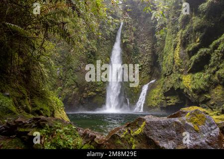 Blick auf den Wasserfall bei einer Wanderung auf den Sendero Cascadas Escondidas im Parque Nacional Pumalín Douglas Tompkins in Patagonien, Chile Stockfoto