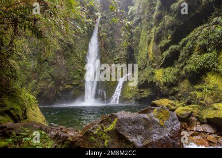 Blick auf den Wasserfall bei einer Wanderung auf den Sendero Cascadas Escondidas im Parque Nacional Pumalín Douglas Tompkins in Patagonien, Chile Stockfoto