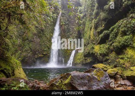 Blick auf den Wasserfall bei einer Wanderung auf den Sendero Cascadas Escondidas im Parque Nacional Pumalín Douglas Tompkins in Patagonien, Chile Stockfoto