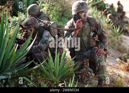 Ein Anführer des US Marine Corps und sein Radioman decken sich am Strand in der Pacific Missile Range Facility, „Barking Sands“ Kauai, Hi. Marines des 11. Marine Expeditionary Unit (MEU) Camp Pendleton, CA, und beteiligte Marine-, Luft-, Boden- und Seestreitkräfte, die während der Operation RIMPAC 96 als kombinierte amphibische Angriffstruppe ausgebildet wurden. Ein Anführer des US Marine Corps und sein Radioman decken sich am Strand in der Pacific Missile Range Facility, „Barking Sands“ Kauai, Hi. Marines aus dem 11. Marine Expeditionary Unit (MEU) Camp Pendleton, CA, und beteiligte Navy und Marine Air, Gro Stockfoto