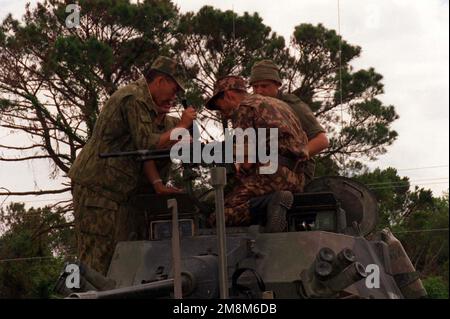 Truppen aus Usbekistan, Kasachstan und Kanada sehen sich ein M240G-mm-Maschinengewehr an, das auf dem Geschützturm eines leichten gepanzerten Fahrzeugs montiert ist. Während des ersten Trainingstages werden verschiedene Ausrüstungsgegenstände des US Marine Corps ausgestellt. Betreff Operation/Serie: COOPERATIVE OSPREY '96 Base: Marine Corps Base, Camp Lejeune Bundesstaat: North Carolina (NC) Land: Vereinigte Staaten von Amerika (USA) Stockfoto