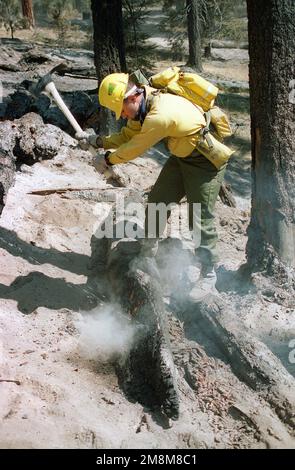 Ein Marine vom 2. Bataillon, 5. Marines, Camp Pendleton, Kalifornien, hat während der Task Force Wildfire im Umatilla National Forest, Oregon, ein brennendes Holzstück ausgestreckt. Betrifft Operation/Serie: EINSATZGRUPPE WILDFEUERBASIS Umatilla National Forest State: Oregon (OR) Land: Vereinigte Staaten von Amerika (USA) Stockfoto