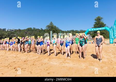 Bilgola Beach Ocean Swim, Women Women Women 500m Rennen, Women Schlange für den Start des Rennens, Blackmores Billy Ocean Swim Race, Sydney, NSW, Australien 2023 Stockfoto