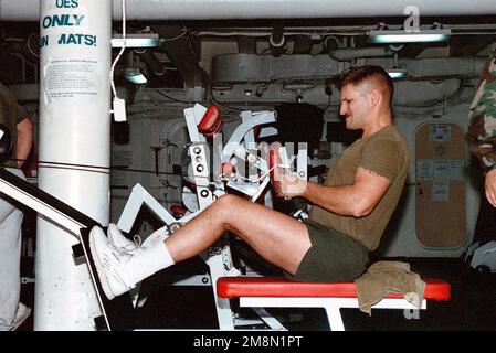 CHIEF Warrant Officer des US Marine Corps 3 Paul A. Diaz, Nuclear Biological and Chemical Officer, Command Element, 26. Marine Expeditionary Unit, pumpt etwas Eisen auf die Rudermaschine im Fitnessstudio an Bord der USS WASP (LHD 1). Die 26. MEU werden auf dem Schiff als Teil der sechsten Flotte der Landestruppe eingesetzt. Basis: USS Wasp (Linkslenker 1) Stockfoto