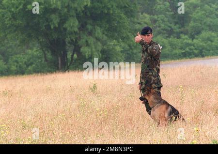 US Air Force AIRMAN 1. Class (A1C) Shawn Conerly gibt die Daumen hoch, während er und sein Partner, ein deutscher Schäferhund, das Scouting-Event beim weltweiten militärischen Worldwide Working Dog Competition des Verteidigungsministeriums am Luftwaffenstützpunkt Lackland, Texas, vom 25. Bis 26. April beginnen. Bei dem Späher-Ereignis suchen Hundeteams nach einem Verdächtigen, der sich in einem offenen Bereich versteckt. Die beiden sind von der Little Rock Air Force Base, Arkansas. Basis: Luftwaffenstützpunkt Lackland Bundesstaat: Texas (TX) Land: Vereinigte Staaten von Amerika (USA) Stockfoto