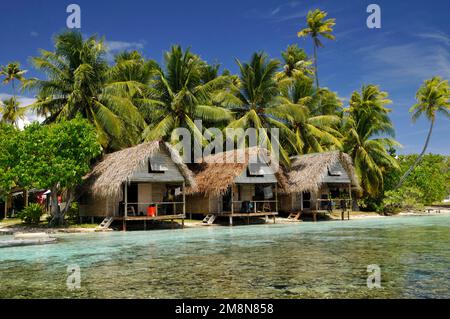 Bungalows unter Palmen in Fakarava, Südpazifik, Französisch-Polynesien Stockfoto