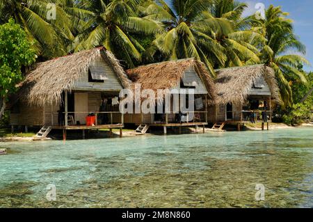 Bungalows unter Palmen in Fakarava, Südpazifik, Französisch-Polynesien Stockfoto