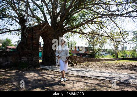 Reisende thai-Frauen reisen zu Besuch und posieren Porträt machen Sie ein Foto am Eingang der alten Ruine aus Ziegelsteinen mit Bodhi-Baum und banyan-Pflanze von Wat Phra Ngam Stockfoto