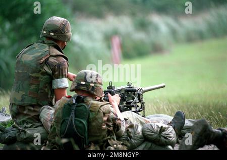 Corporal (CPL) Adam Pogorzelski, US Marine, (USMC), (M-2, Kanonier des Kalibers 50), 2D. Panzerbataillon, Waffenzug, Und CPL Jeremy Fell, USMC, (m2, Kaliber 50 A-Schütze), 2D. Aufklärungsbataillon mit leichter Panzerung, Charlie Company/Waffenzug, feuert ihr M-2-Maschinengewehr auf farbcodierte Ballonziele, die auf einem Schießstand platziert wurden, während eines Waffen-Trainingselements auf Reichweite 1-Alpha im Empire Range Complex, Camp Hayes, Panamakanal. Basis: Camp Hayes Country: Panama (PAN) Stockfoto