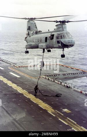 Marines vom Aufklärungszug der Streitkräfte, 13. Marine Expeditionary Unit (MEU), Special Operations Capable (SOC), US Marine Corps, führen eine Fastropeschulung von einem CH-46E Sea Knight Helikopter auf dem Flugdeck des USS BOXERS (LHD 4) durch, um ihre Fähigkeiten während eines Einsatzes im Westpazifik, Westpac 99-1, aufrechtzuerhalten. Basis: USS Boxer (Linkslenker 4) Stockfoto