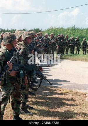 US Army (USA) Soldaten, die der A/Company zugeteilt sind, 1. Bataillon, 17. Infanteriedivision, bewaffnet mit 5,56mm M16A2 Sturmgewehren bilden eine Schusslinie, während sie in Orot Point, Guam, Techniken zur Bekämpfung von Ausschreitungen praktizieren, während der TANDEM-SCHUBÜBUNG '99. Gegenstand Operation/Serie: TANDEM-SCHUBKRAFT-Basis 99: Orot Point Staat: Guam (GU) Land: Nördliche Marianen (MNP) Stockfoto
