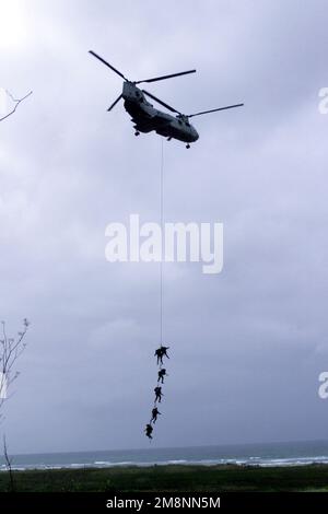 Ein US Marine CH-46 entsendet 1. Force RECON fünf Mannschaften über SPIE Rig (Special Patrol Insertion Extraction) während der Proben für Kernel Blitz '99. Betreff Operation/Serie: KERNEL BLITZ '99 Base: Marine Corps Base Camp Pendleton Bundesstaat: Kalifornien (CA) Land: Vereinigte Staaten von Amerika (USA) Stockfoto