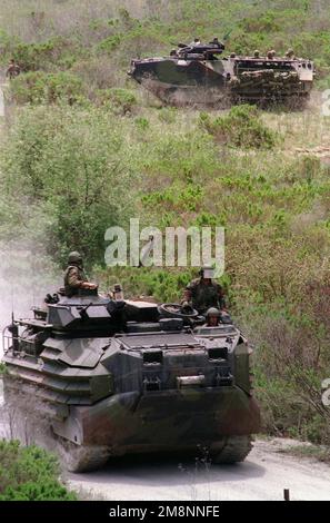 US Marines mit 3. Spuren manövrieren zwei Amphibious Assault Vehicle Personals (AAVP7A1) über eine unbefestigte Straße auf dem US Marine Base in Camp Pendleton, Kalifornien. Diese Mission unterstützt die Operation Kernel Blitz '99. Betreff Operation/Serie: KERNEL BLITZ '99 Base: Marine Corps Base Camp Pendleton Bundesstaat: Kalifornien (CA) Land: Vereinigte Staaten von Amerika (USA) Stockfoto