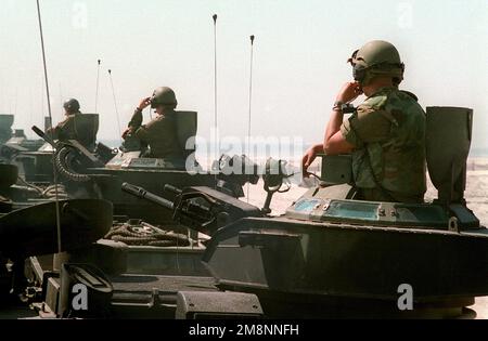 Eine Rückansicht von drei US-Marines, die aus dem oberen Geschützturm ihres jeweiligen Amphibious Assault Vehicle Personals (AAVP7A1s) stehen. Die Marines von 3. Tracks warten auf den Befehl während Kernel Blitz '99. Betreff Operation/Serie: KERNEL BLITZ '99 Base: Marine Corps Base Camp Pendleton Bundesstaat: Kalifornien (CA) Land: Vereinigte Staaten von Amerika (USA) Stockfoto